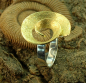 Preview: Silberring Spiraldesign
